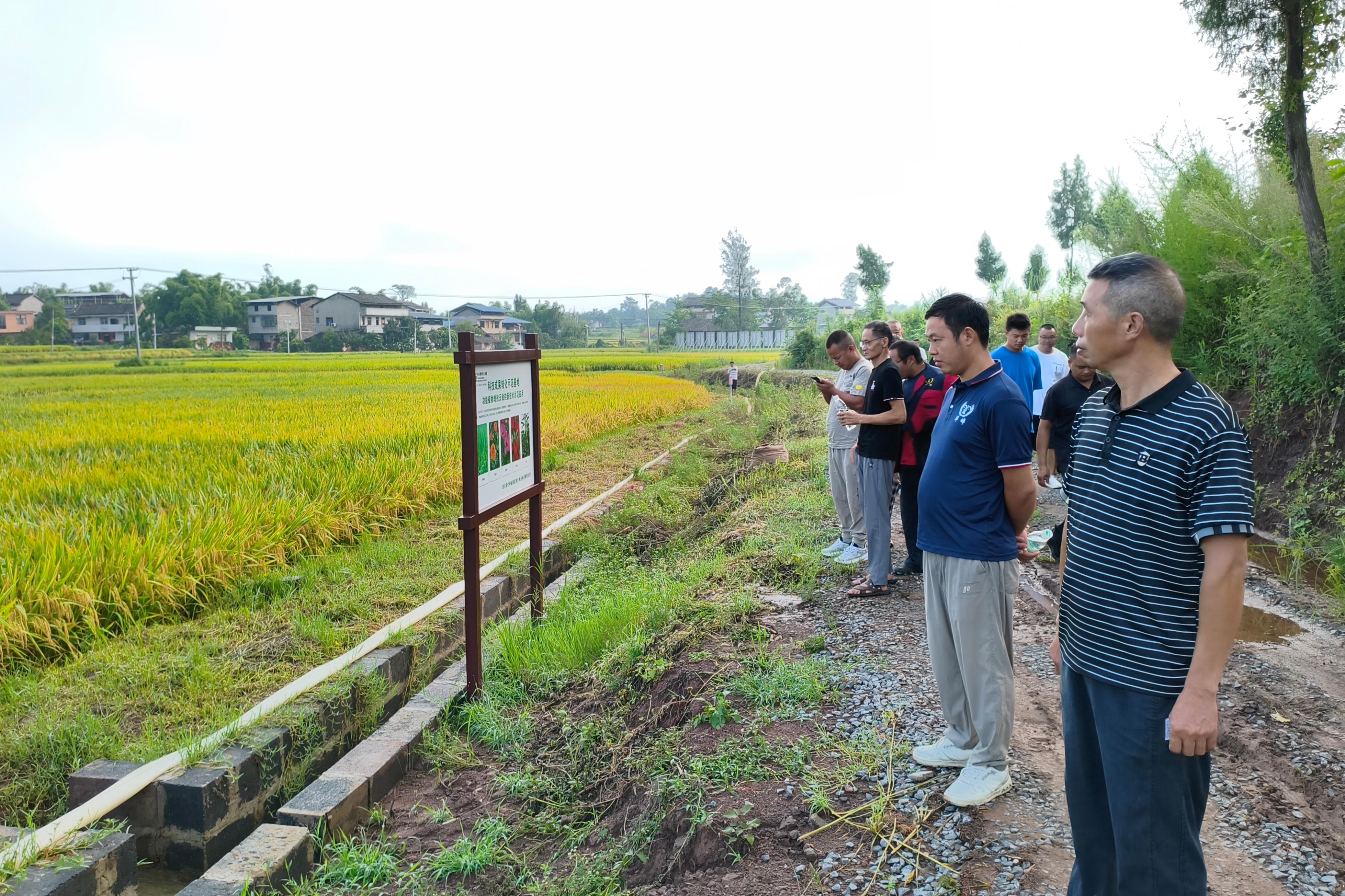 689bfa622e1b3.jpg 812¹ã°²Á¸ÓÍ´ó»áÅäͼÌï¼ä¹ÛĦpic1.jpg