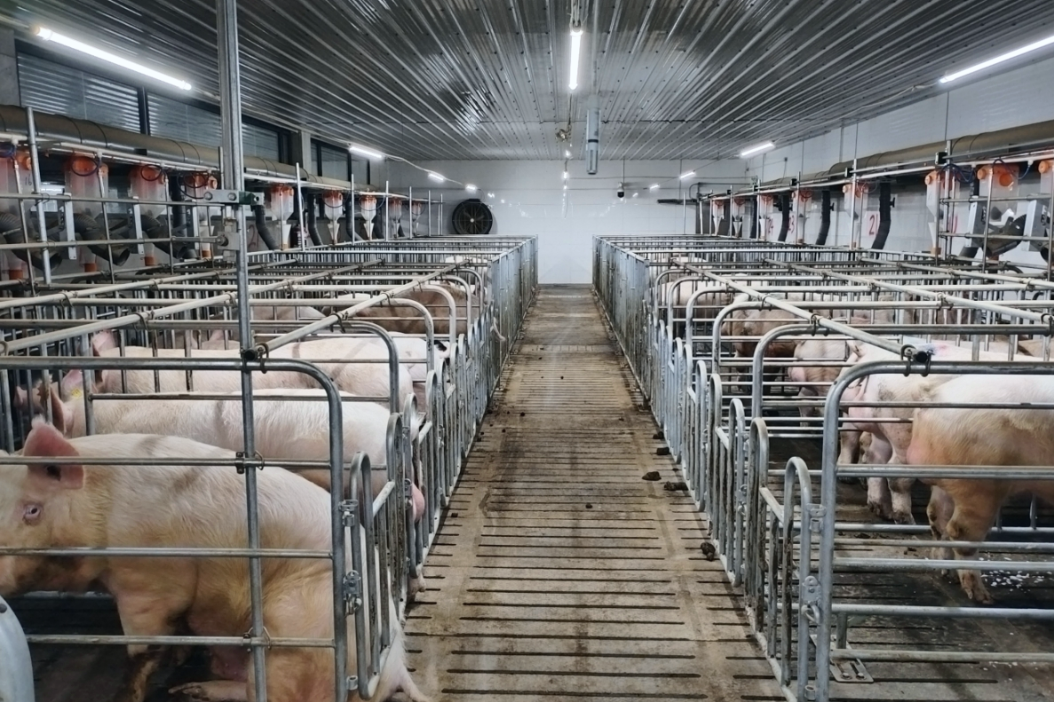 689d49e593e83.png 814川繁猪企业简介配图2.png