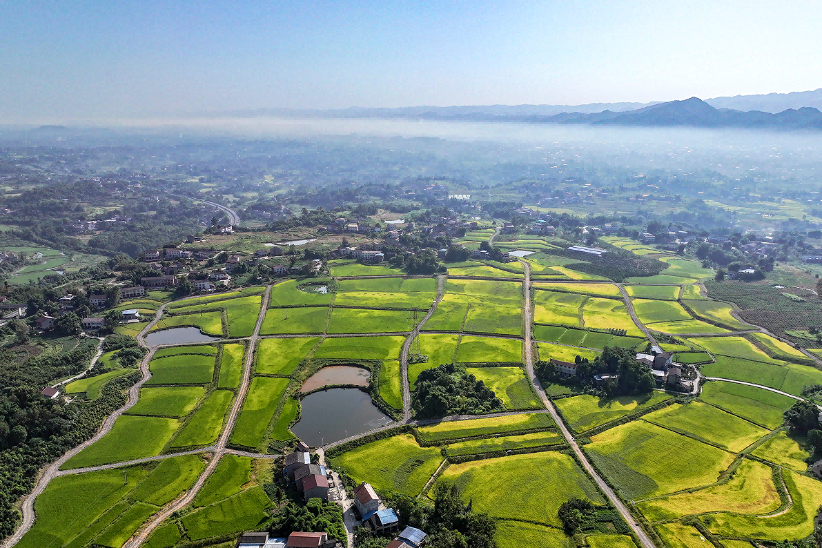 68a5268f79110.png 8.19西大农科(1).png