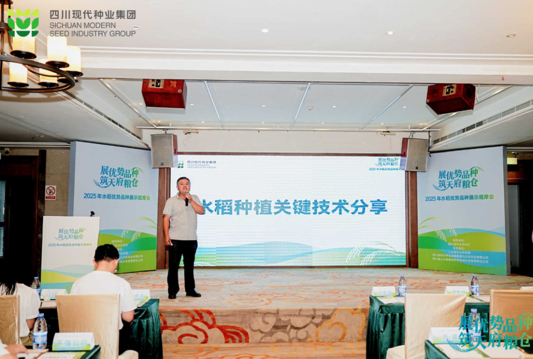 68be2e33b6680.png 9.6定心丸-推介pic2.png