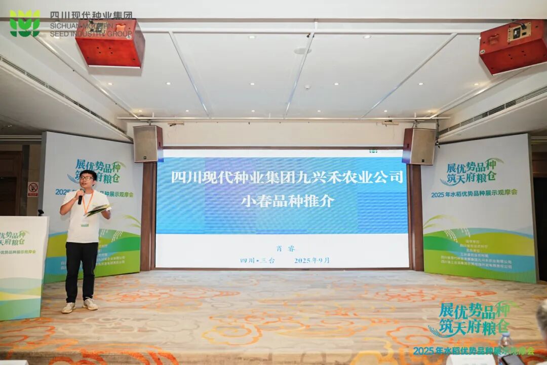 68be2e5fa423f.jpg 9.6定心丸-推介pic3.jpg