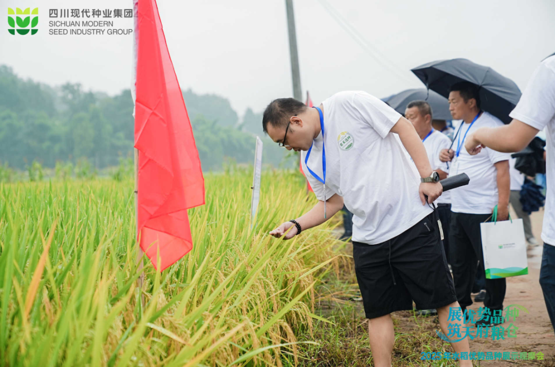 68be2eaa7df5a.png 9.6有方现在pic5.png