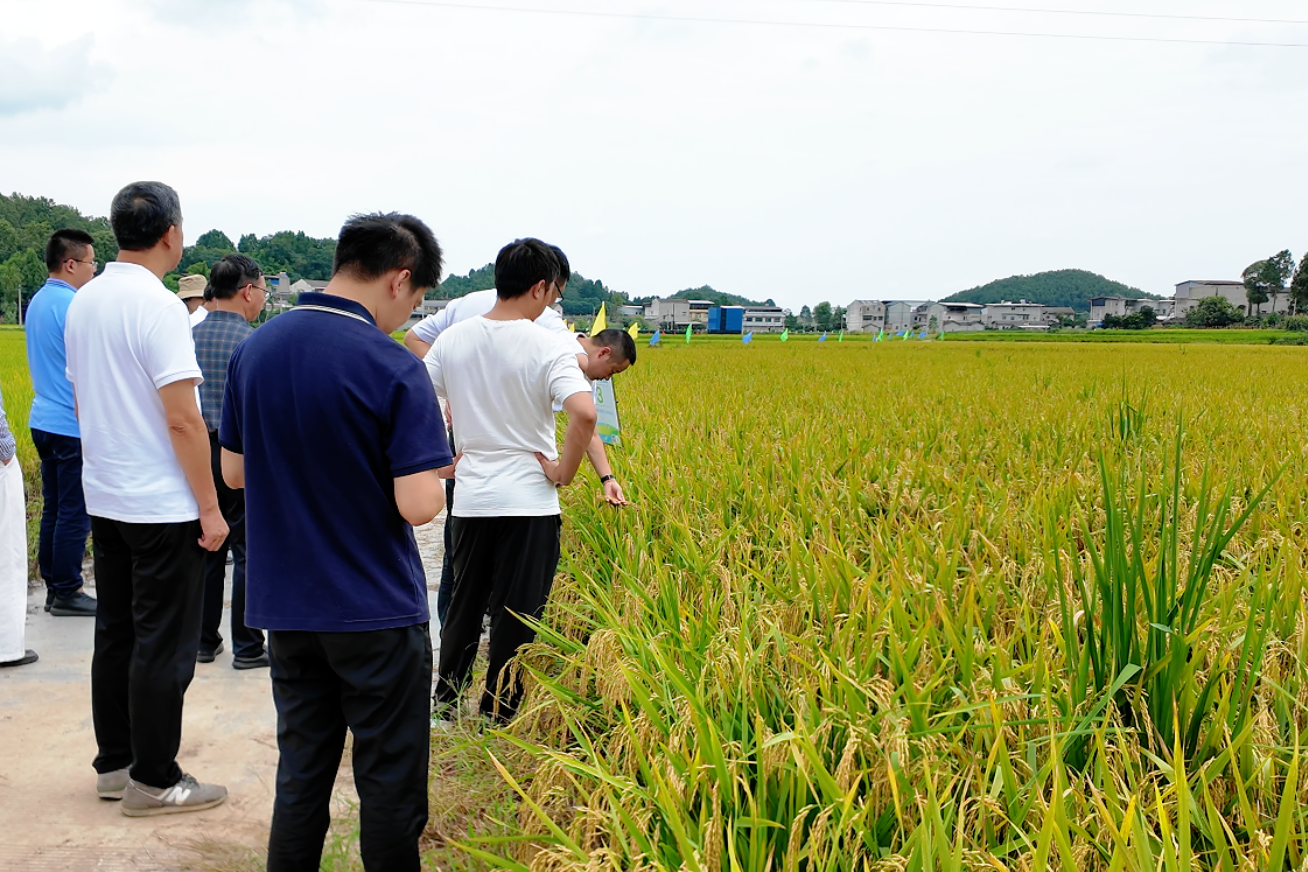 9��9�գ�������������������ʲ����ˮ����Ʒ�������չ�Ħ�ֳ����������������جB�����㣩.png