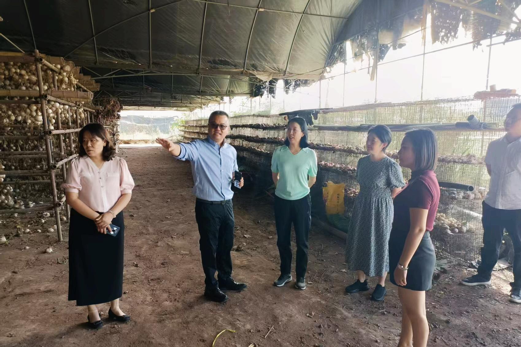 �㰲�и��г�����һ�е����������ҵ����