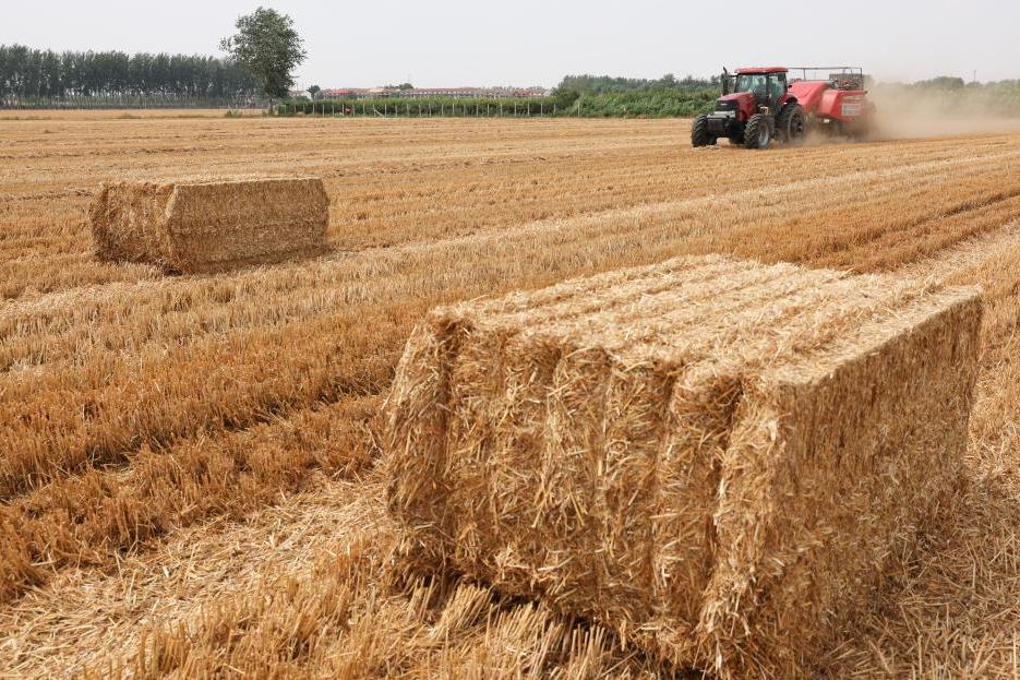 �������¡����ġ�С����ģ�����������ջ�������