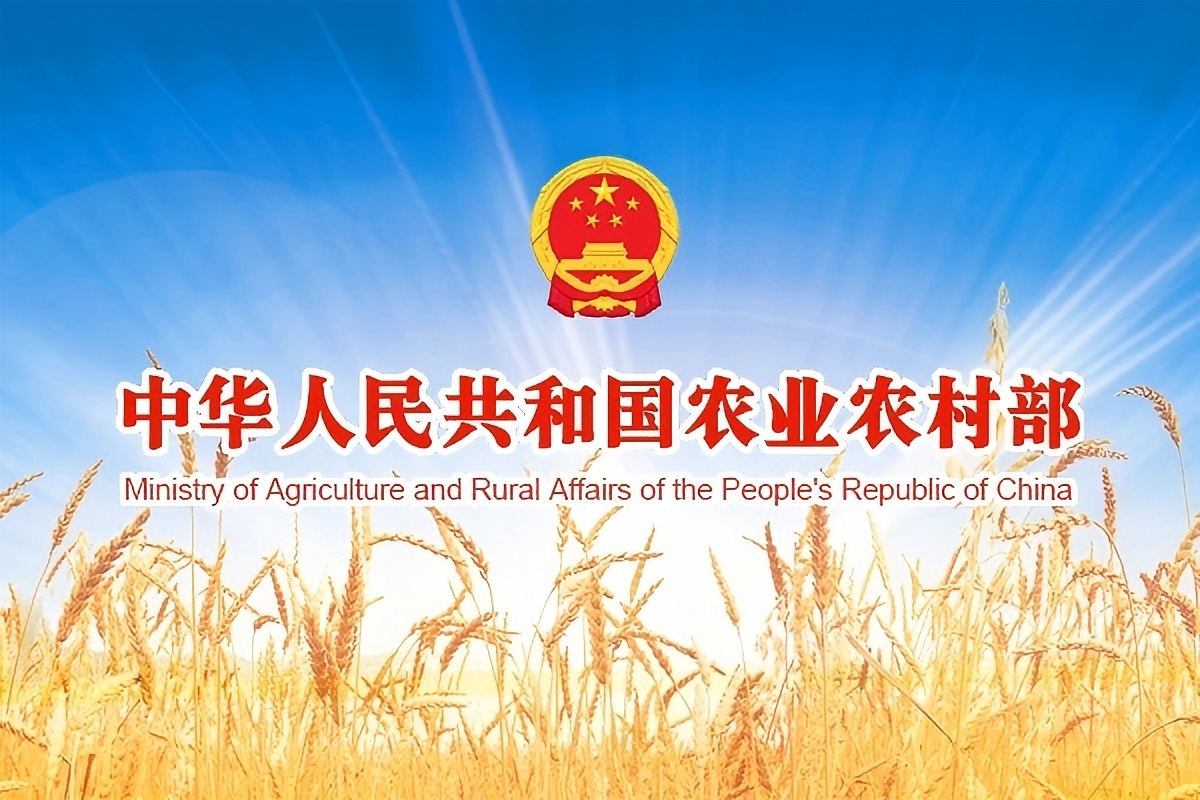 ũҵũ�岿�ٿ�����ۻ�ǿ�� ��ץʵ�������°���ũҵũ������ Ϊ�����������������ṩ����֧��