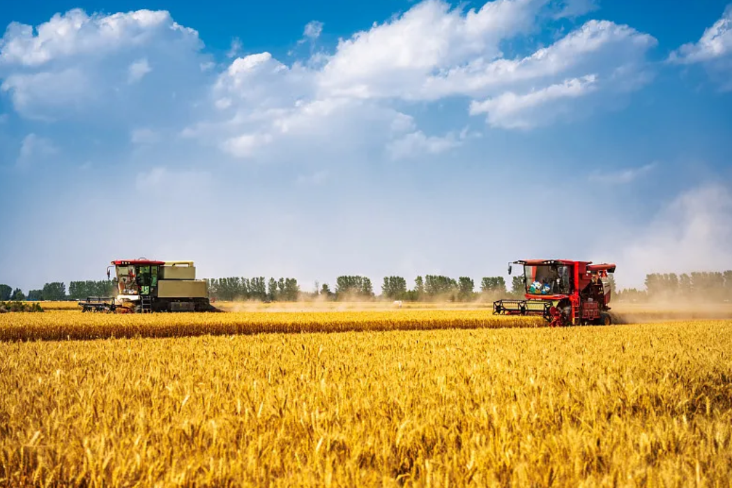 ������Ʒ���������ƹ�Ӧ�� ֧���������������������� ����ũҵũ�岿�й������˾�2025�����ũ��������Ʒ���ƹ�Ŀ¼��ũҵ����Ʒ���������մ������