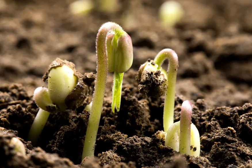 ���������Žṥ�������ƽ���Ƶ���ٿ�