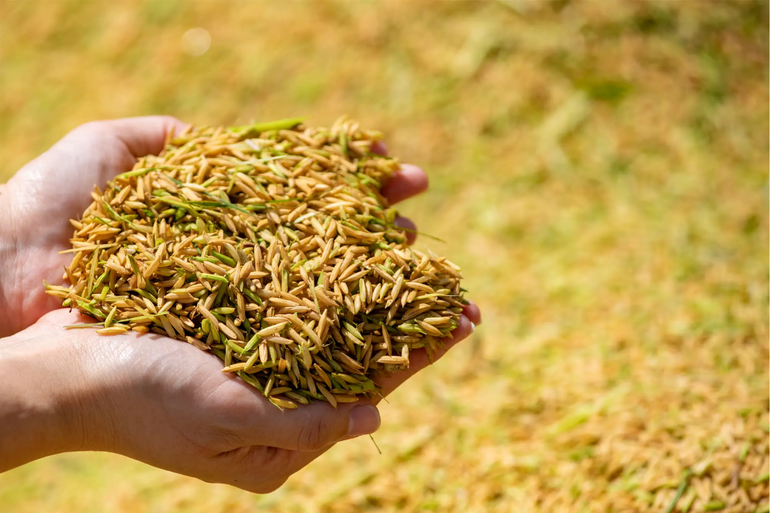 2025���絾�ܲ���570.3�ڽ� �絾Ķ���״�ͻ��400����