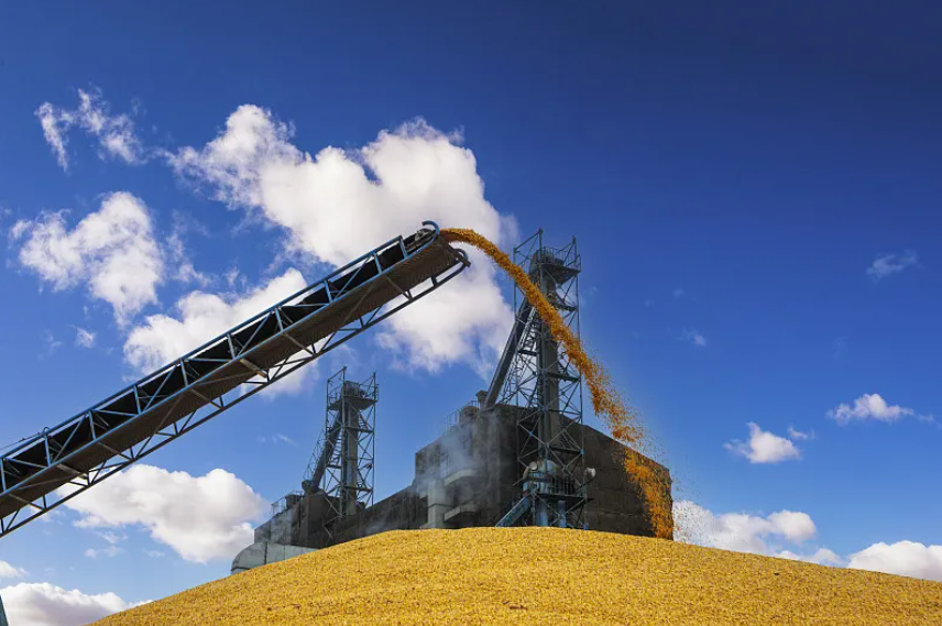 ��������ʡ���������ŵ���ʱǿ�� ���������ʳ�徲�������� �ƶ���ʳ��������������̨��