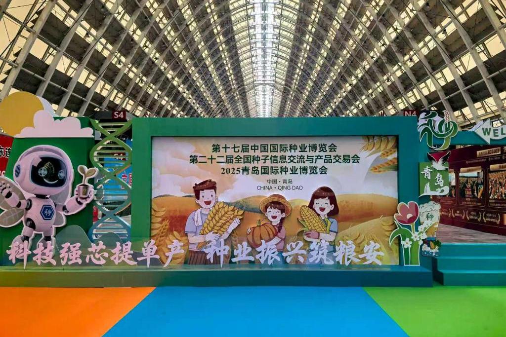 �����ա���Ч�������������������ӡ�˫���ᡱ���ҹ���ҵ������