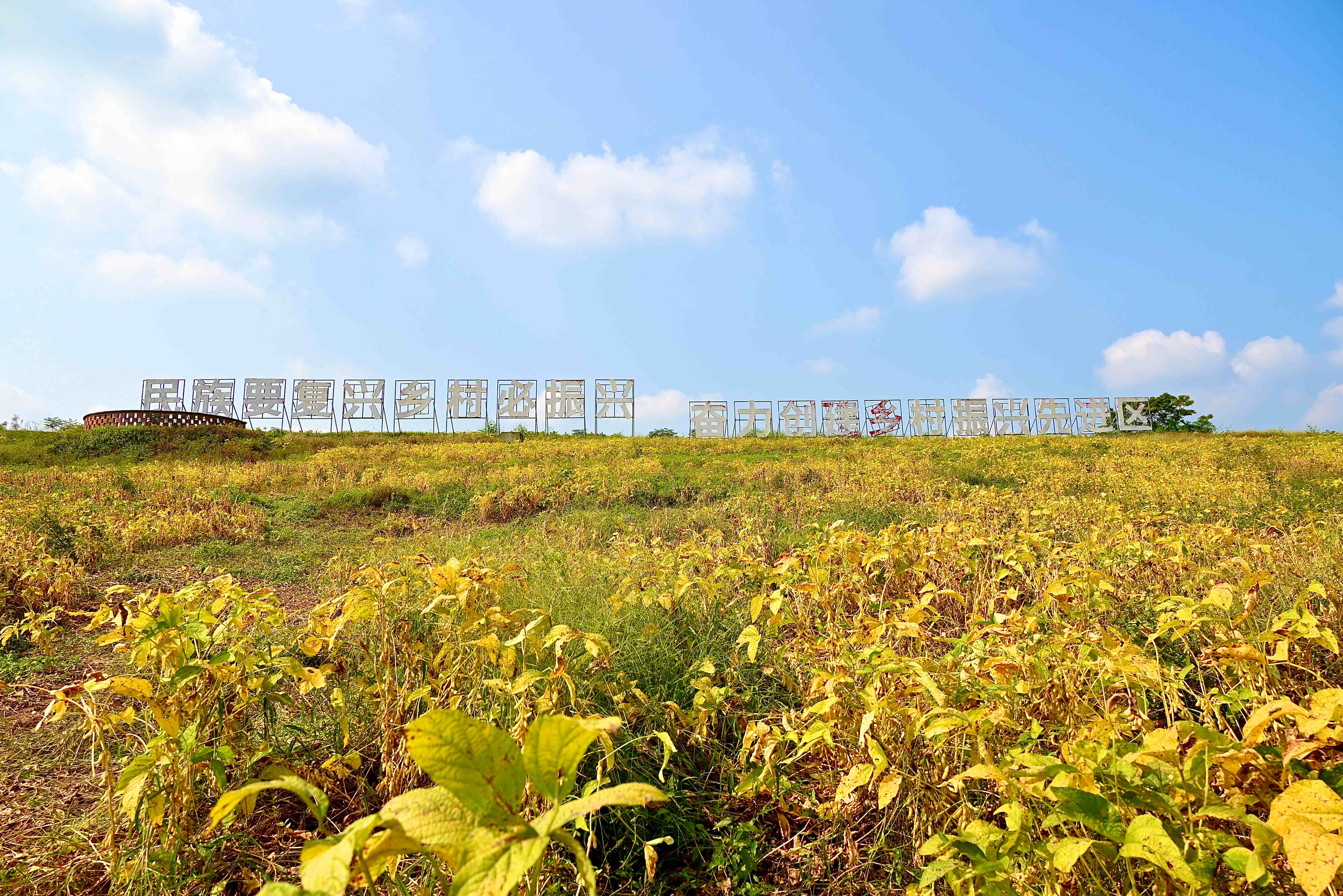 68f595dee8746.jpg 10.20田间金豆豆新闻稿封面.jpg