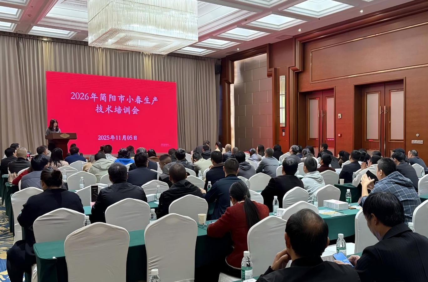 2026�������С������������ѵ�����