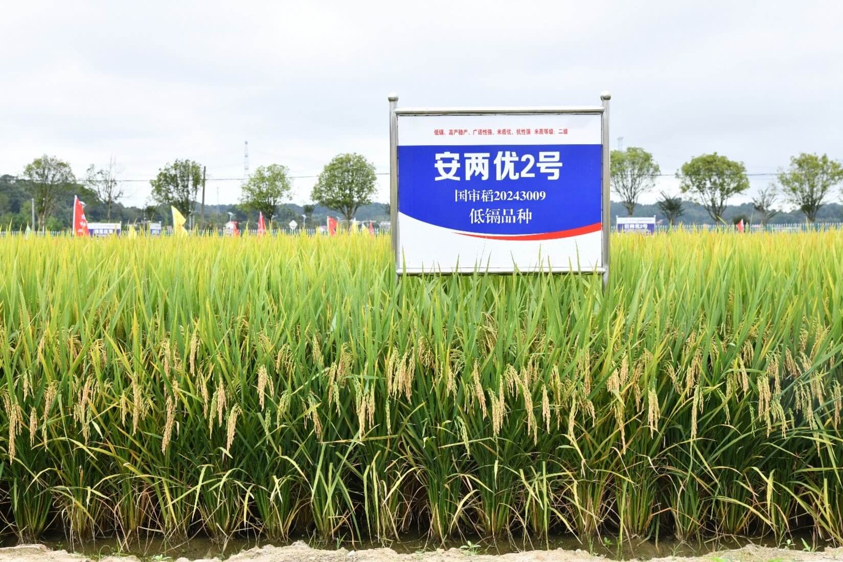 ������2��