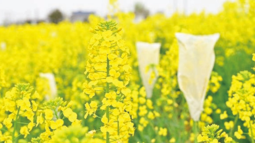 ������2��