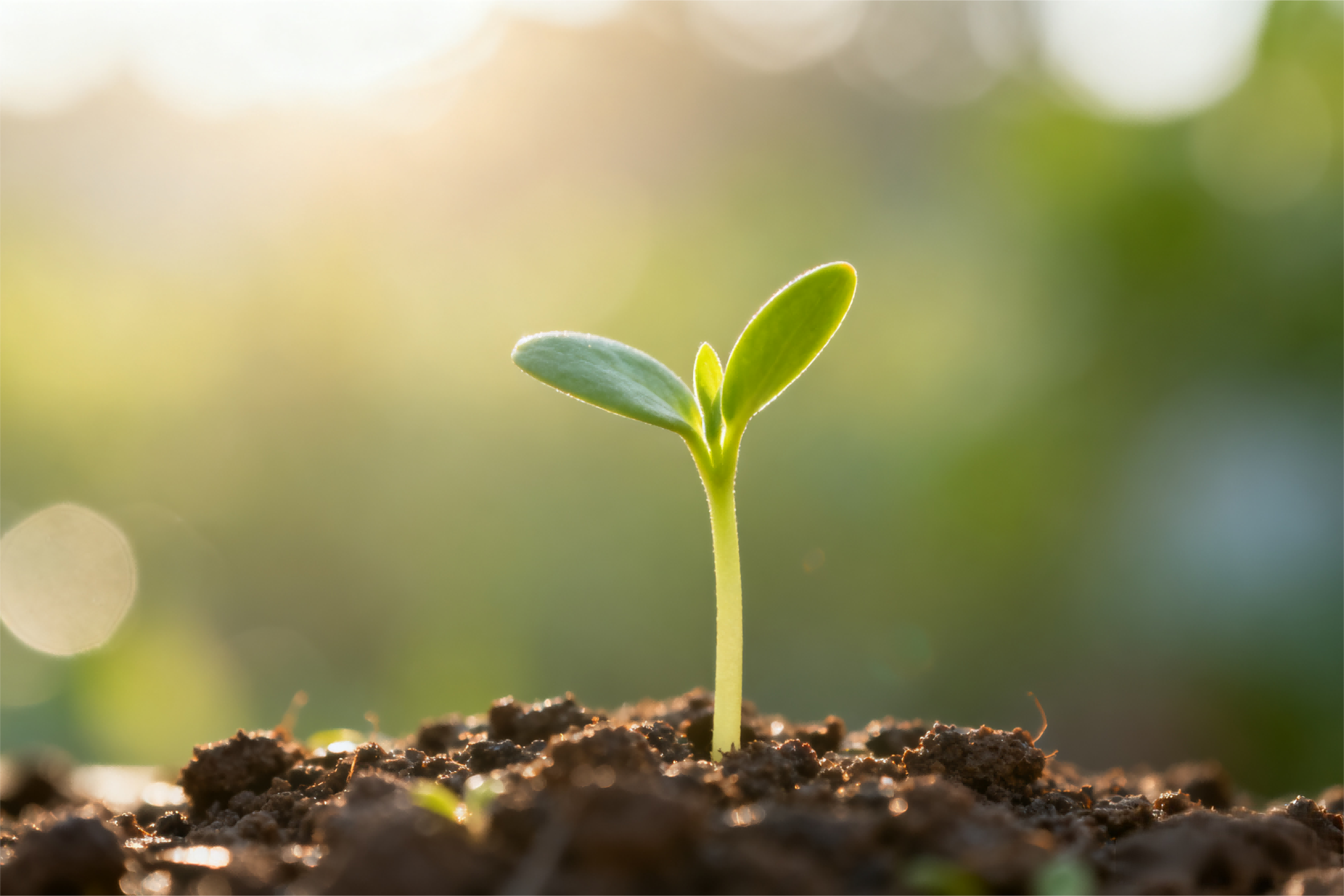 ũҵũ�岿�ٿ������ֳ��� ��������ʵ����ҵ�����ж��ص�����