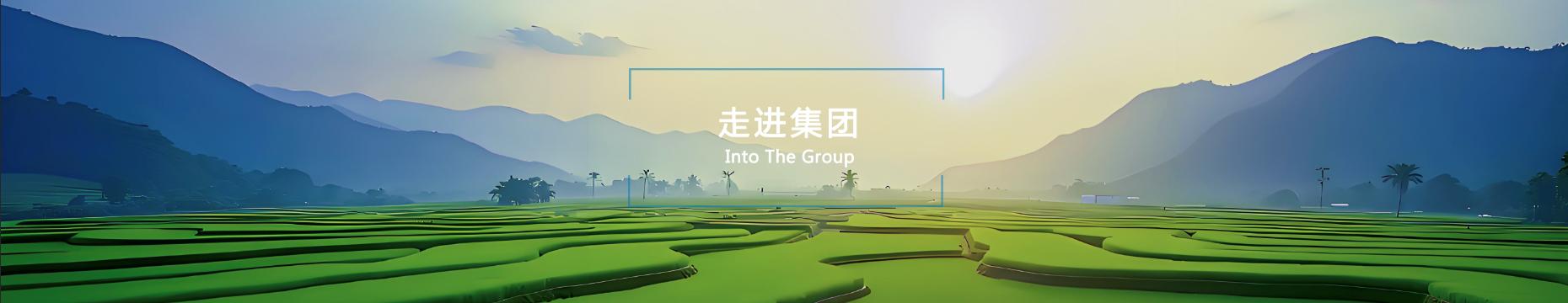 �߽�����