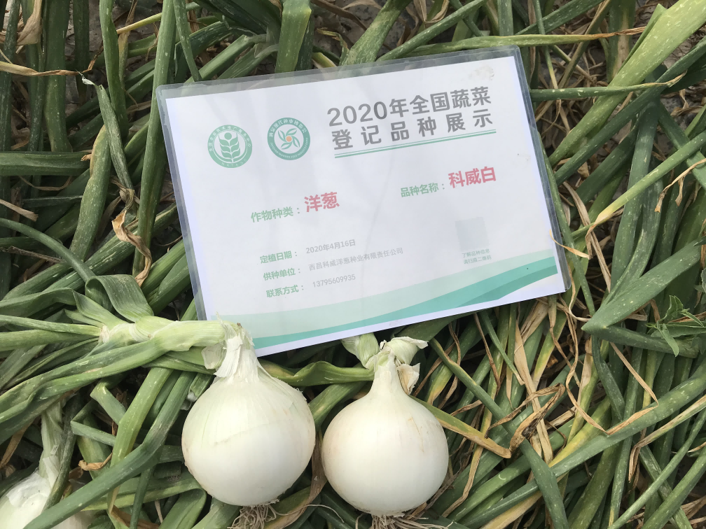 ������10��