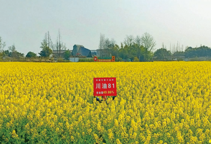 ����81��GPD�Ͳ�(2021)510174��?