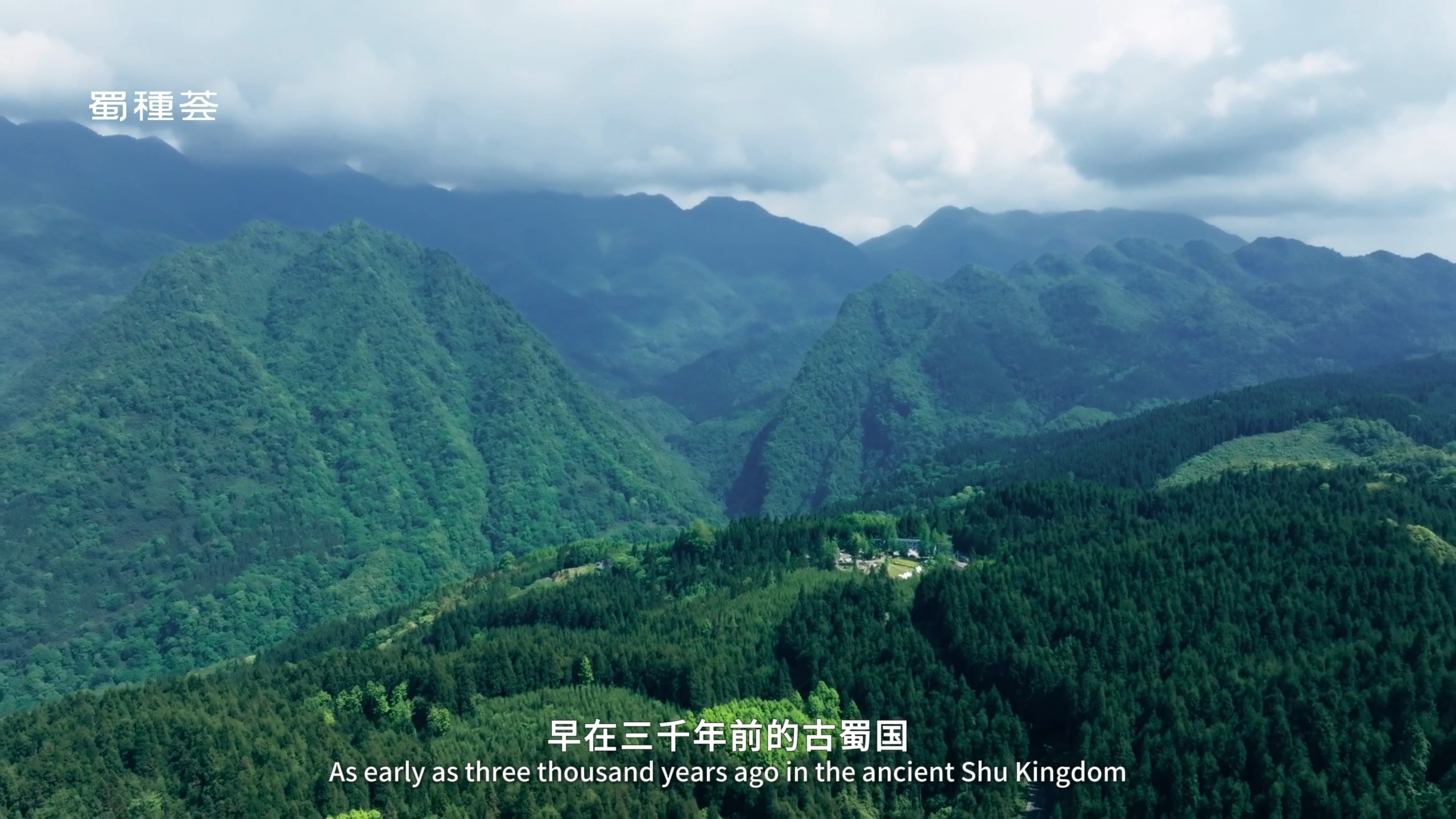 ������Ʒ������Ƭ