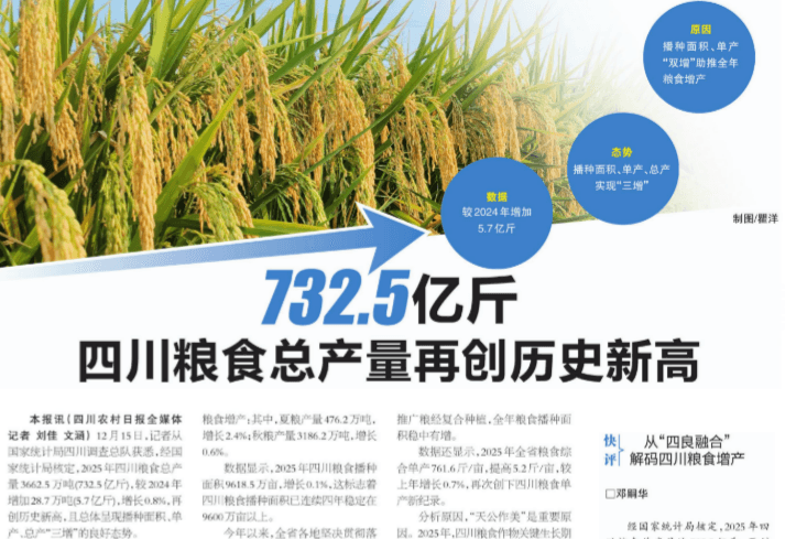 732.5 �ڽ���츮���֡� ���������������������������Ĵ���ҵ����������������