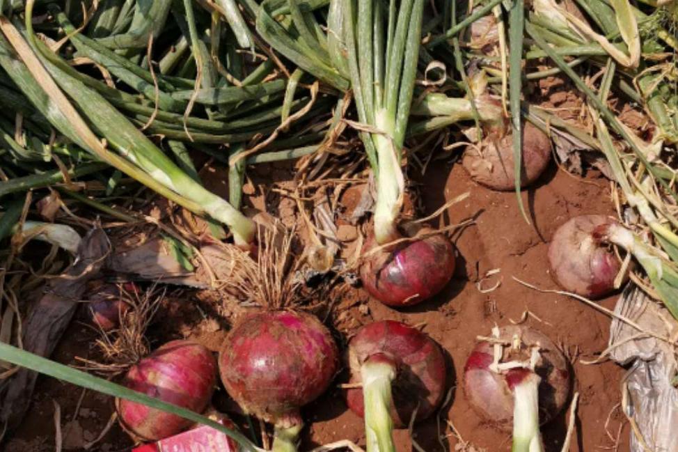 ������5��