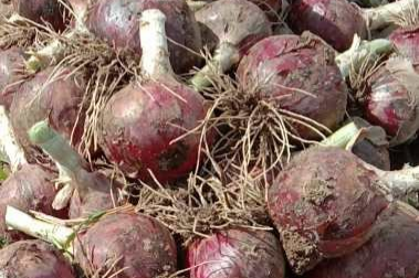 ������11��