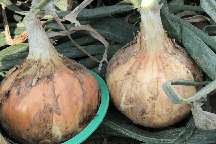 ������2��