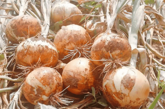 ������14��