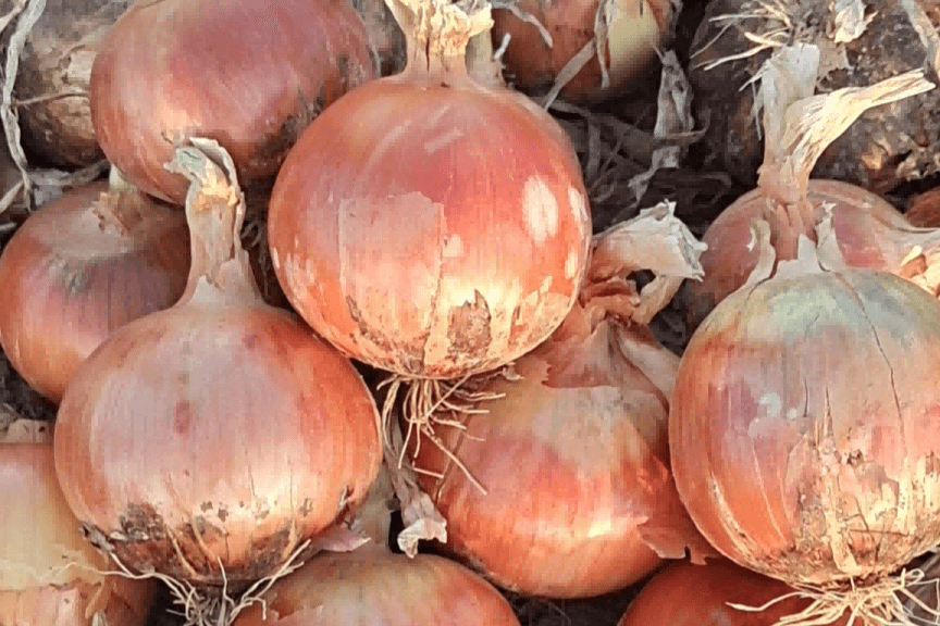 ������15��