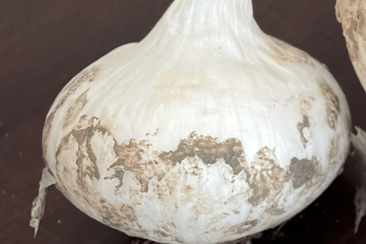 ������3��