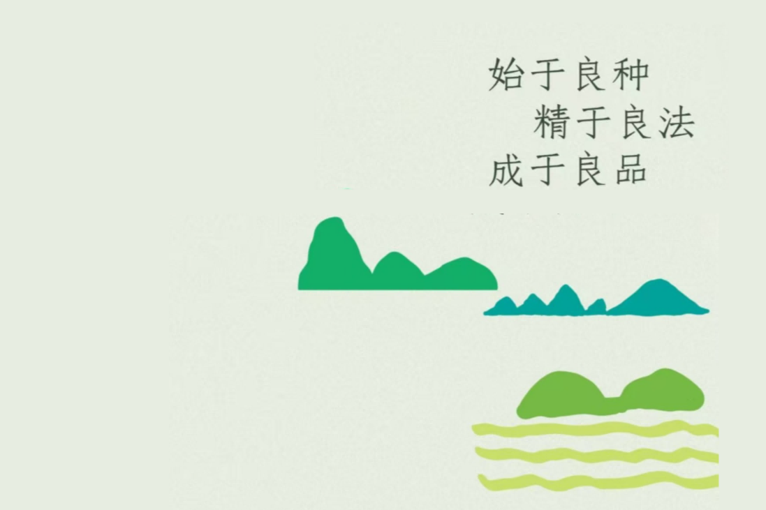 ������Ʒ������