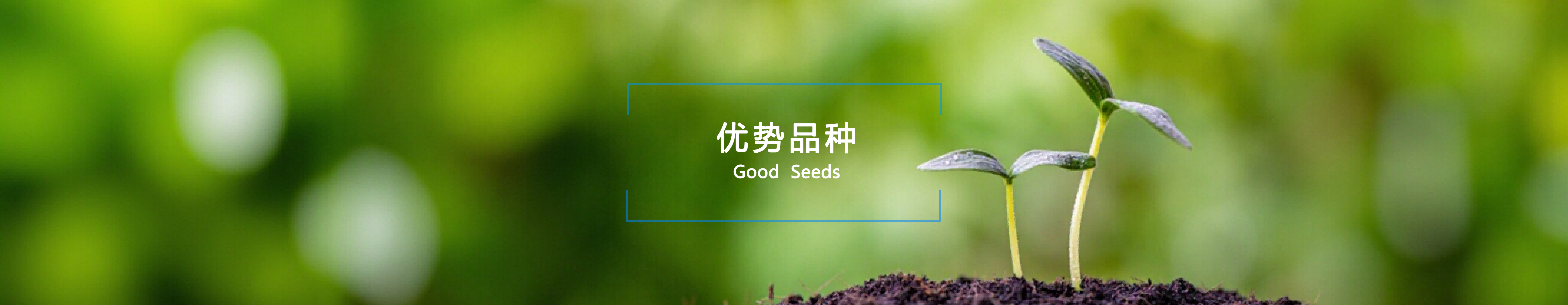 ����Ʒ��