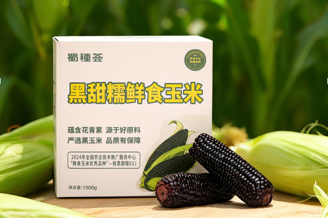 ����Ŵ��ʳ����