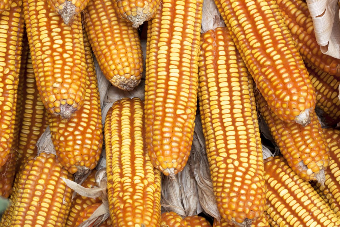 ����1331D��ת����