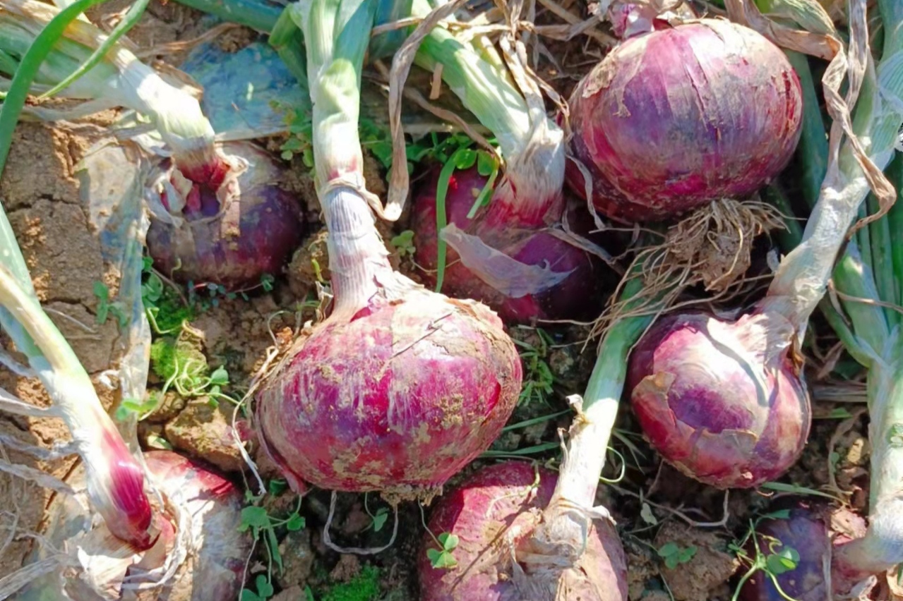 ������10��