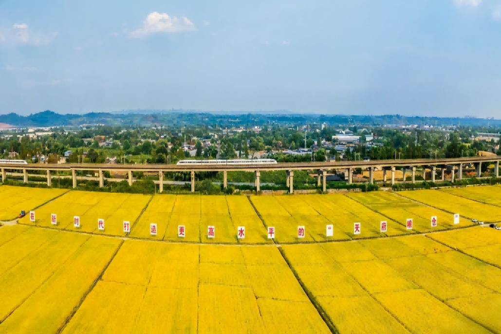 �ӡ�5����ά�� ����bg����ƽ̨��2025��