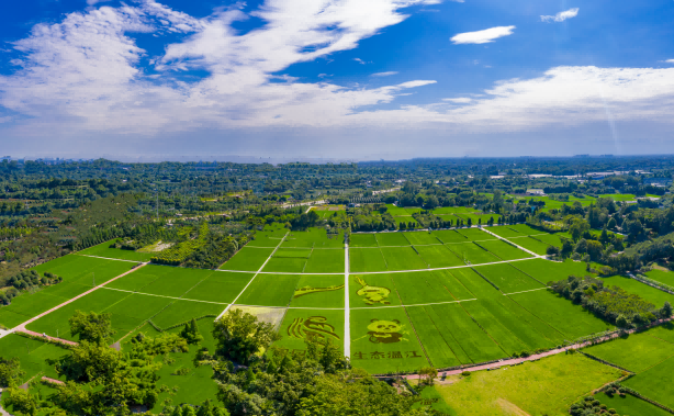 ���ſƴ�������������ʡ������վ�����߷�̸����Ŀ �����ҵ�������조������һ�廯��