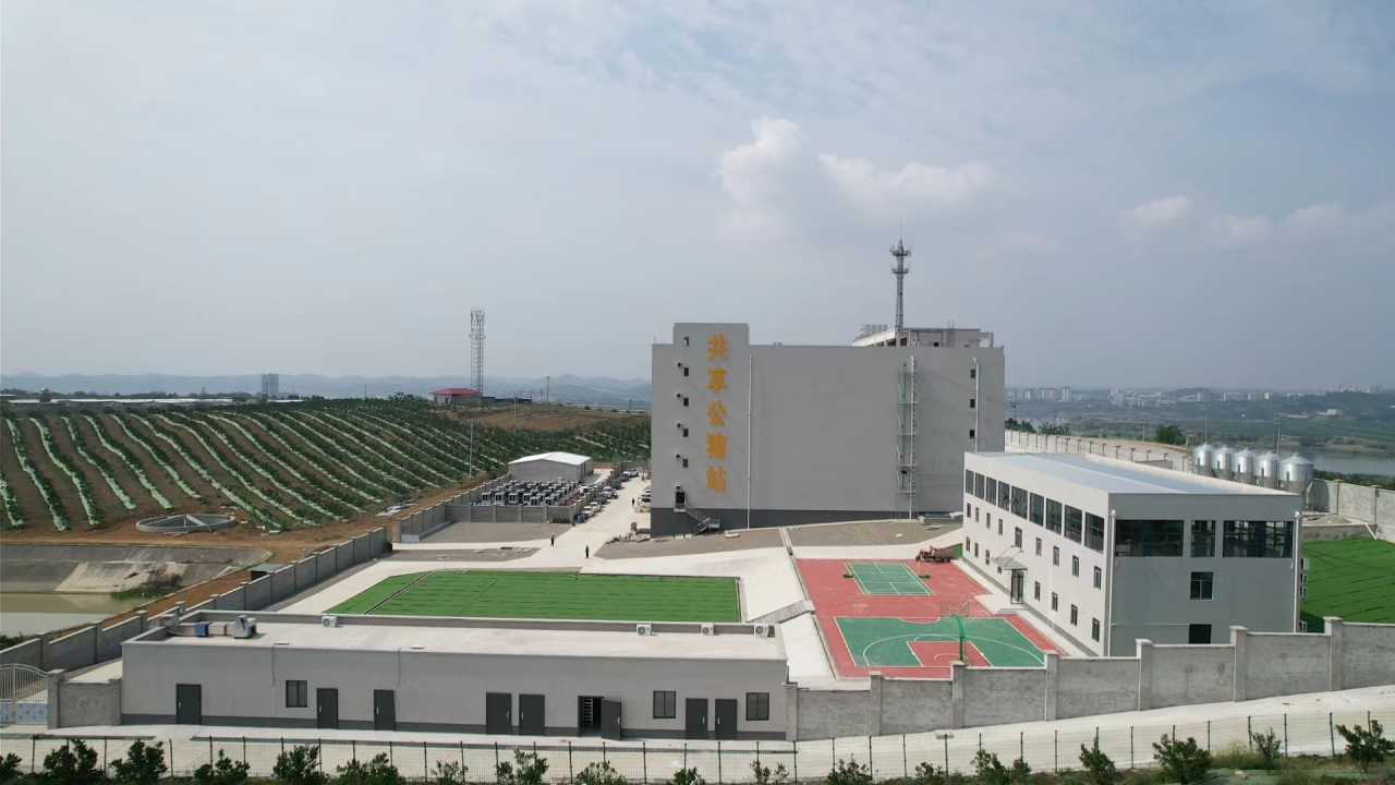 697820fd08fd7.png 25.6.6赵云做客省政府网站“在线访谈”栏目良种繁育pic.png