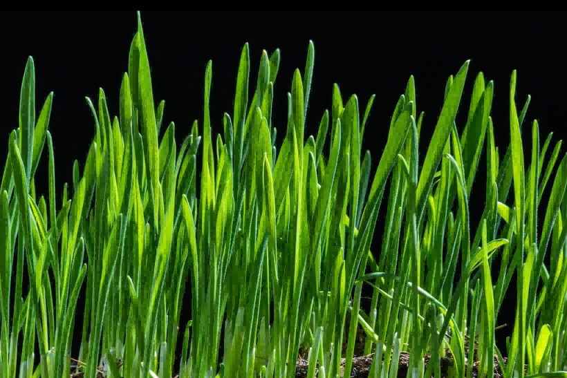 ����Ժ����ί���۽��������ֵ�����������������������ǿҪ���������չ���