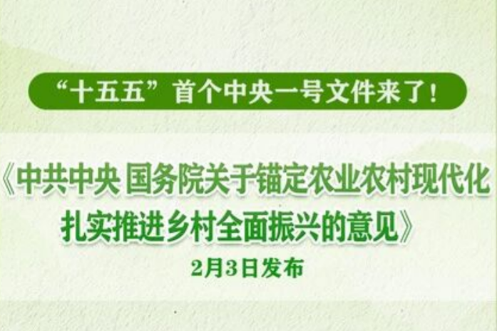 2026������һ���ļ�����������������������